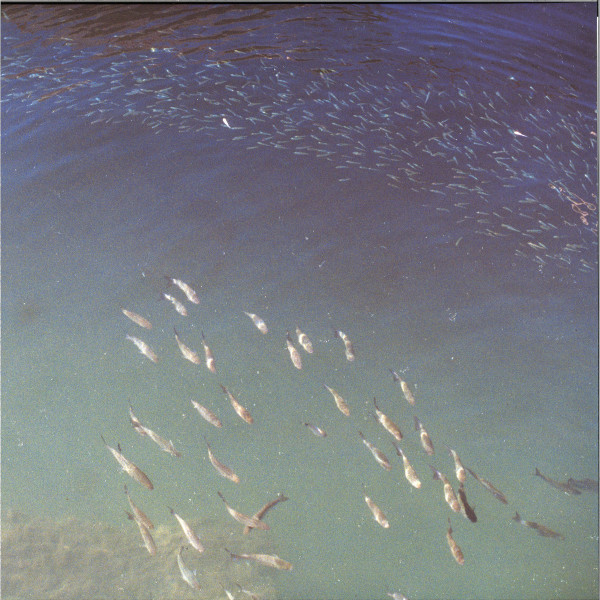 Desroi - Floating In Empty