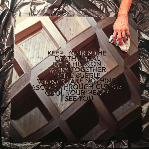 Dirty Projectors - Dirty Projectors (2LP+MP3) (Back)