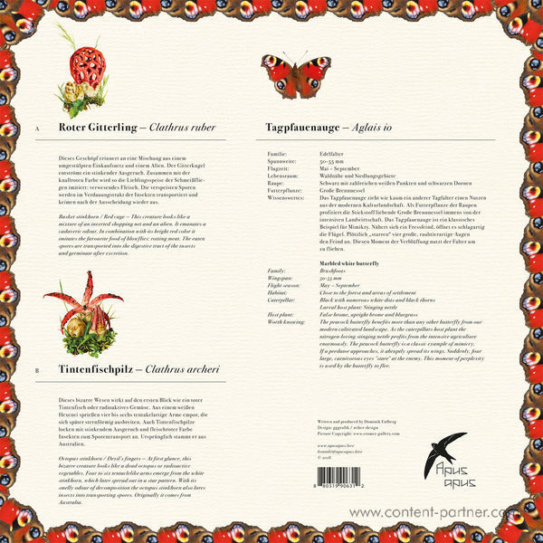 Dominik Eulberg - Roter Gitterlling & Tintenfischpilz (Back)