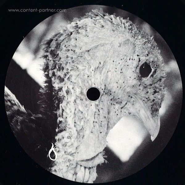 Dorisburg - Venom