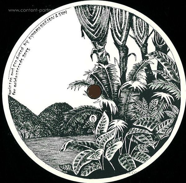 Dresvn - Acido 14 (Back)