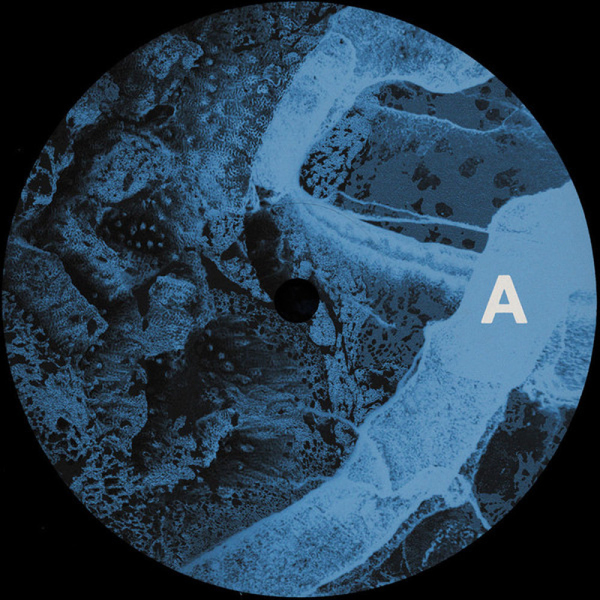 Dubfound - Fanout