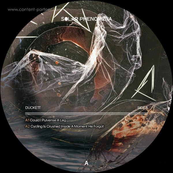 Duckett - Risks