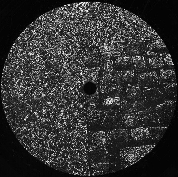 Edvin Wikner - Skritt