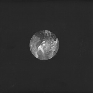 Elements Of Joy - Magnétiques (Back)