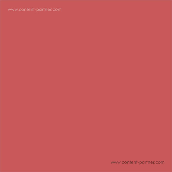 E.r.p. - Evoked Potentials (part Two)