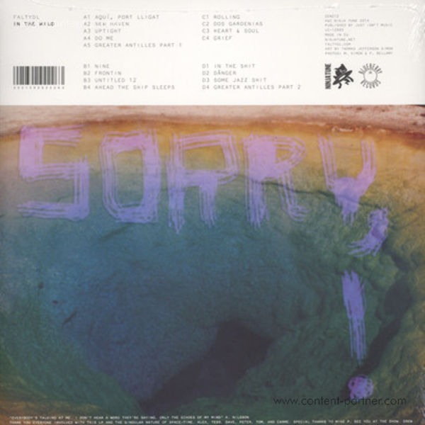 FaltyDL - In The Wild (2LP + Mp3) (Back)