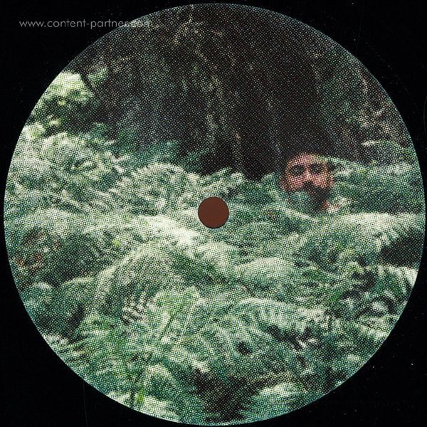 Fantastic Man - Animal Language (Back)