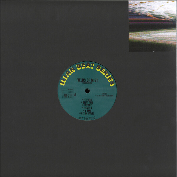 Fields Of Mist - Illuminated60 LP