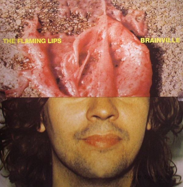 Flaming Lips - Brainville (RSD 2015 OFFERS)