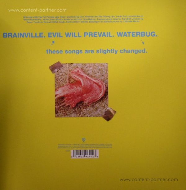Flaming Lips - Brainville (RSD 2015 OFFERS) (Back)