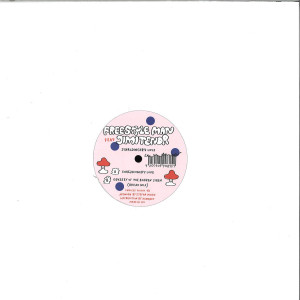 Freestyle Man feat Jimi Tenor - Schrödinger’s Love (Back)