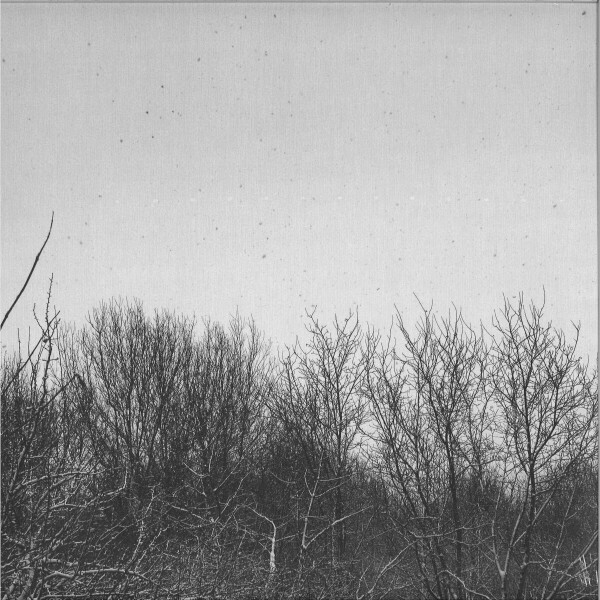 GEINS'T NAÏT & SCANNER - GN / SCANNER