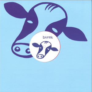 GENE HUNT - REBORN RHYTHMS EP (Back)