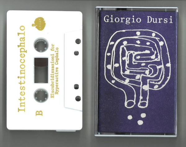 GIORGIO DURSI - INTESTINOCEPHALO