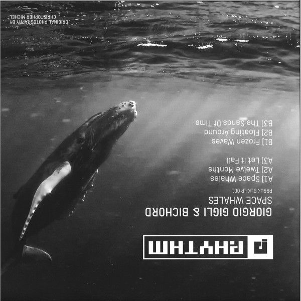 Giorgio Gigli, Bichord - Space Whales