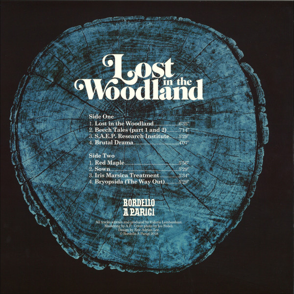 HEINRICH DRESSEL - LOST IN THE WOODLAND LP (Back)