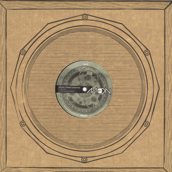 Halcyonic & G Roots ft. Junior Dread - Future / Violinbwoy Remix
