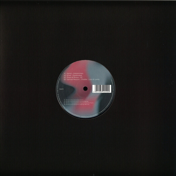 Hamid, Octad, Dhaze & Phiorio, Gabriele - Positive Contribution (Back)