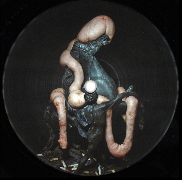 Heith & Weightausend - Stone Lizard (Back)
