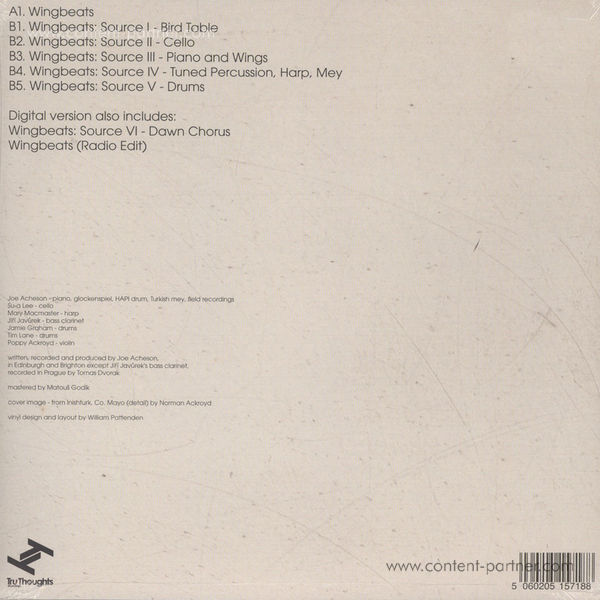 Hidden Orchestra - Wingbeats EP (12''+ MP3) (Back)