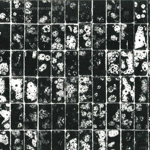 Hinode - Globular Clusters (Vinyl Only)