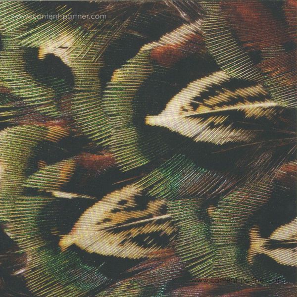 Hodge - Forms Of Life (Back)