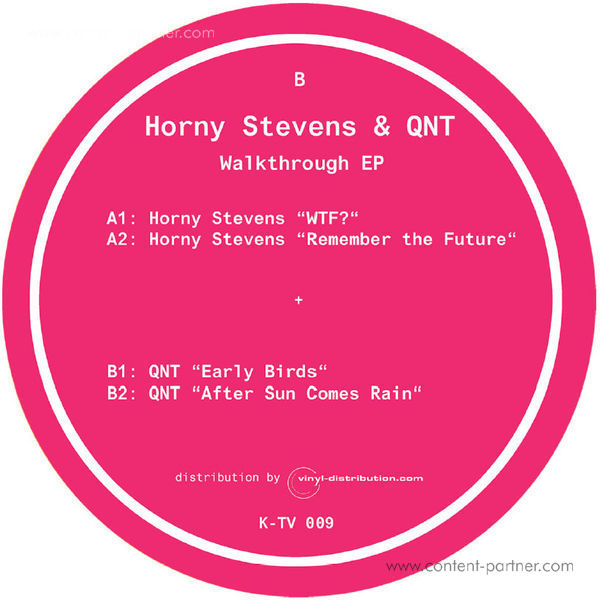 Horny Stevens & QNT - Walkthrough EP (Back)