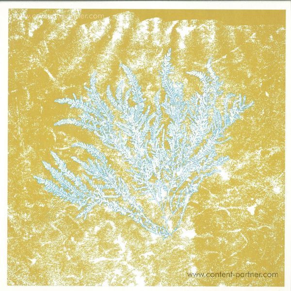 Huerco S - For Those Of You Who Have Never (Green Repress)