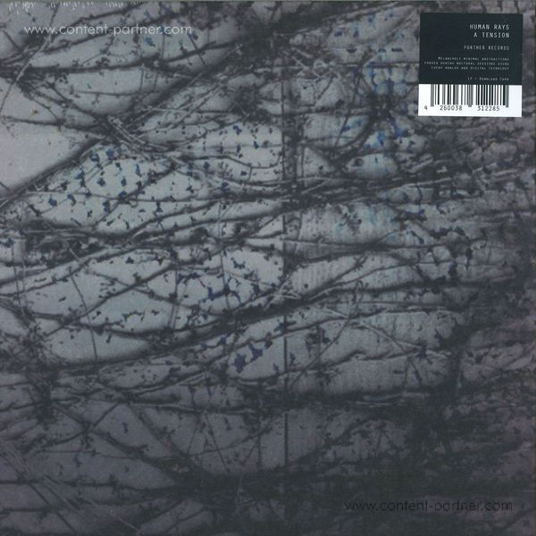 Human Rays - A Tension (Back)