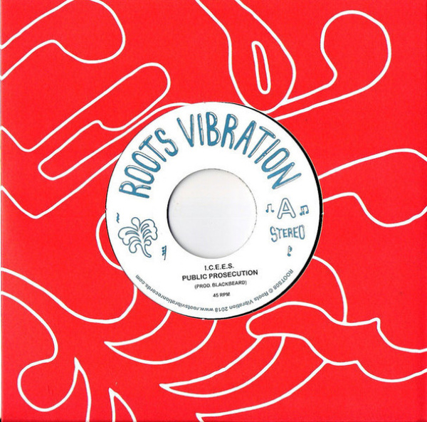 I.C.E.E.S. - Public Prosecution