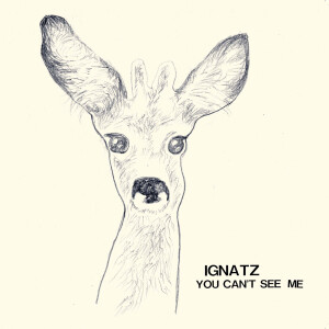 IGNATZ - YOU CAN'T SEE ME