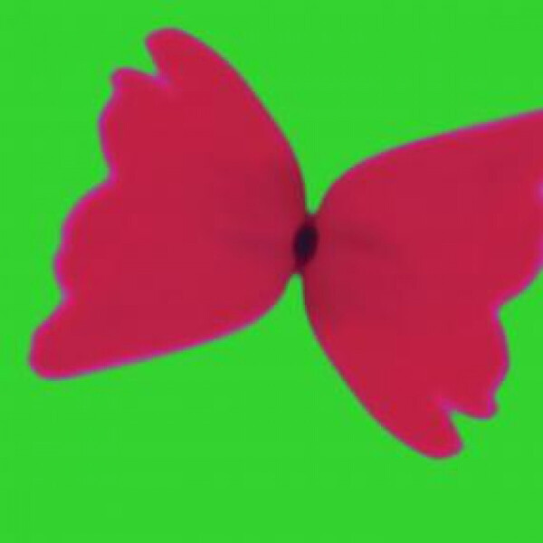 IVVVO - BLEACHED BUTTERFLY