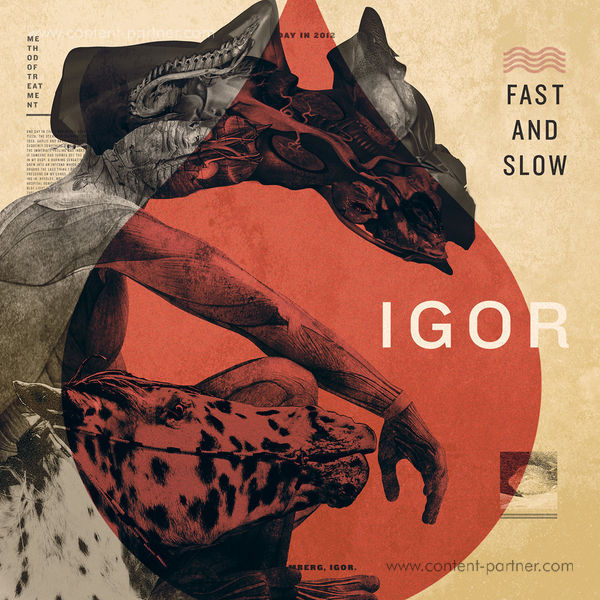 Igor - Fast & Slow LP