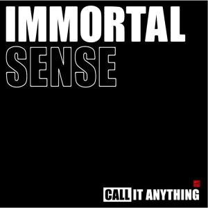 Immortal Sense - Call It Anything