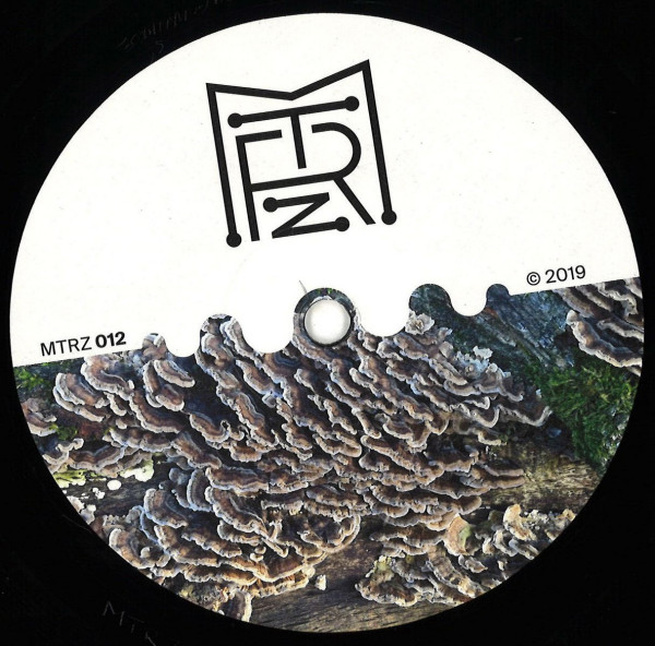 Ion Ludwig - A Better Future To Long EP