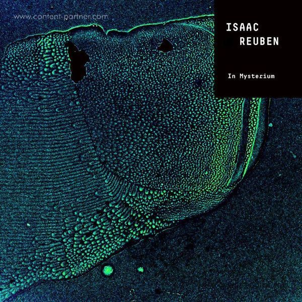 Isaac Reuben - In Mysterium (Back)