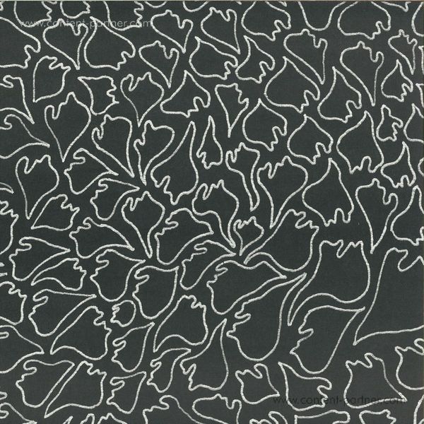 Ivan Iacobucci - Monoklo 1