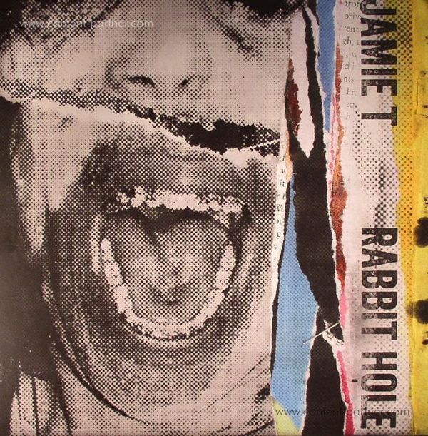 Jamie T - Rabbit Hole