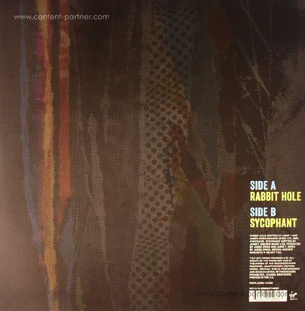 Jamie T - Rabbit Hole (Back)