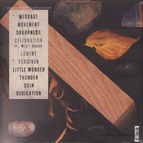 Jamie Woon - Making Time (Ltd. Vinyl) (Back)