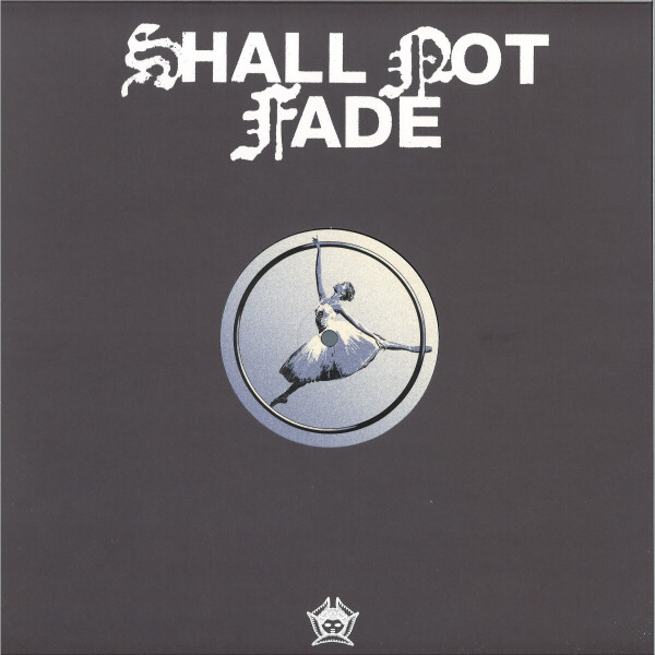 Jaymie Silk - The Rise & Fall Of Jaymie Silk & Rave Culture LP [