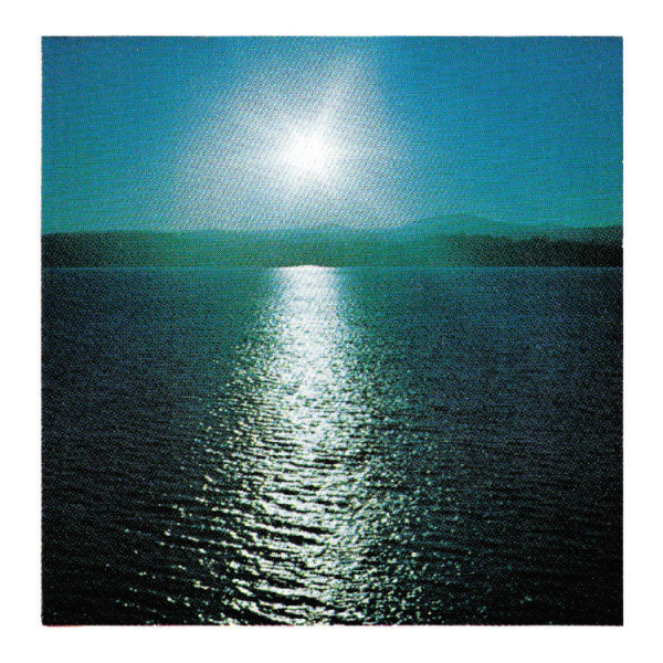 Joanna Brouk - The Space Between (LP)