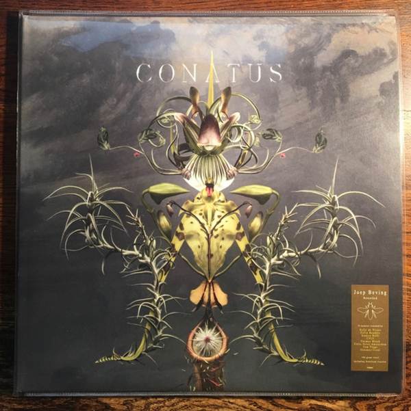 Joep Beving - Conatus (2LP)