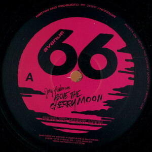 Joey Anderson - Above The Cherry Moon(w/Vakula Rmx/2022 ReEdition)