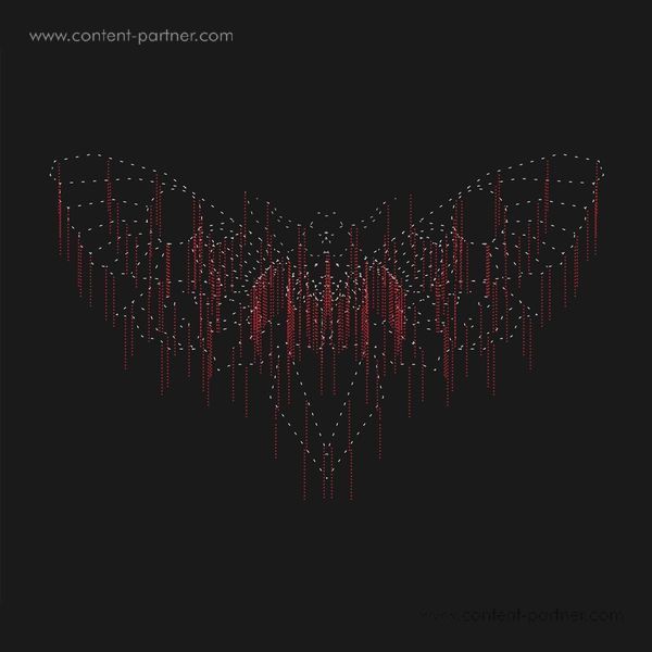 John Beltran - Moth