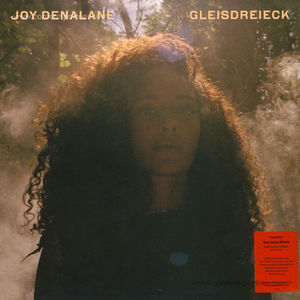 Joy Denalane - Gleisdreieck (2LP + MP3)
