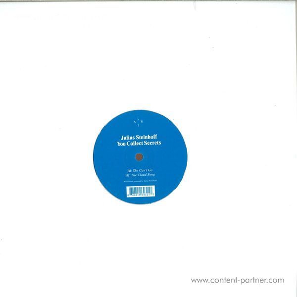 Julius Steinhoff - You Collect Secrets (Back)