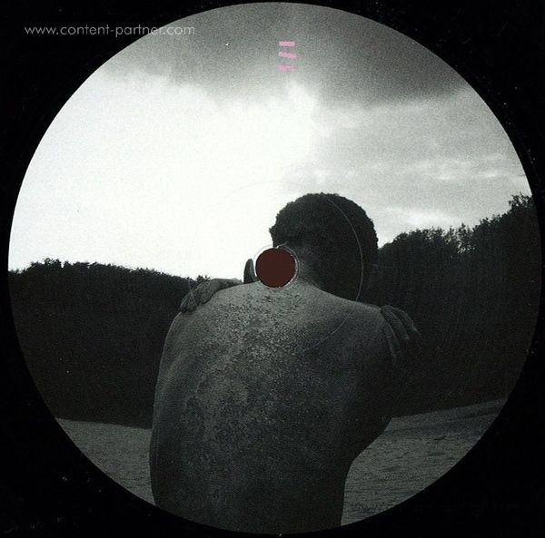 Kalawila - Ensam Kamphund Tog Pendeltaget
