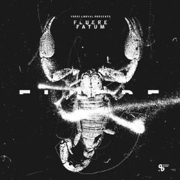 Killer Loop (juan Atkins Mix) / Terry Brookes / Ms - Yossi Amoyal Presents Fluere Fatum (12")